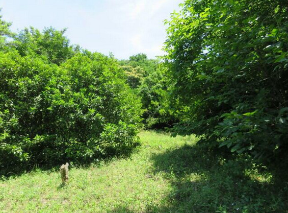 【外観】 | 伊東市富戸　売地