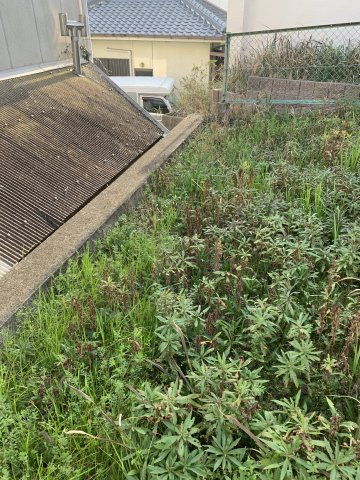 紀の川市尾崎　売土地の周辺