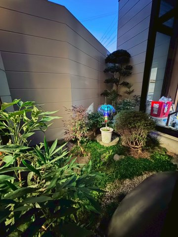 泉大津市戎町　戸建の庭