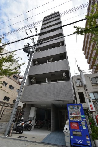 ハルあみだいけ