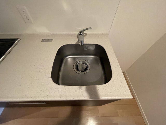 エリジオンのその他