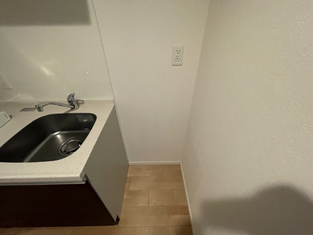 エリジオンのその他