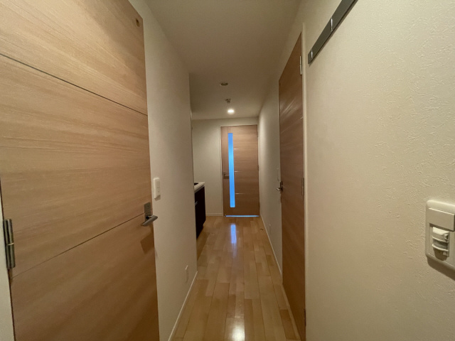 エリジオンのその他