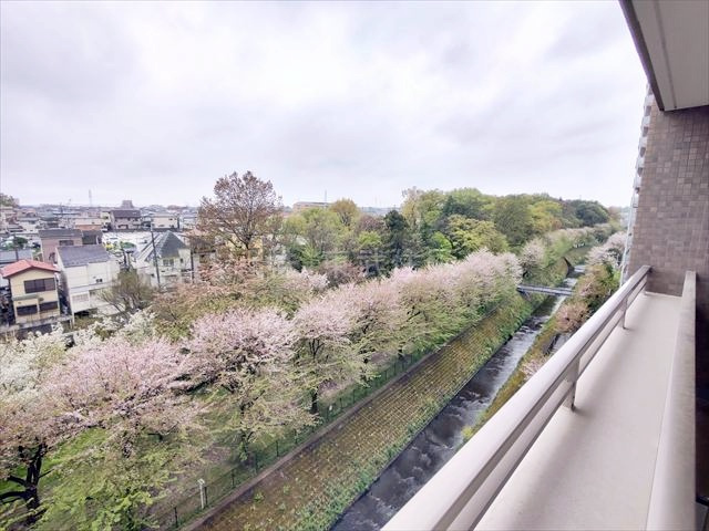 【展望】の画像