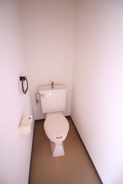 ニューハイツサトウのトイレ|他のお部屋の写真です。