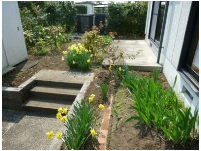 ルクスエテルナタナカの庭