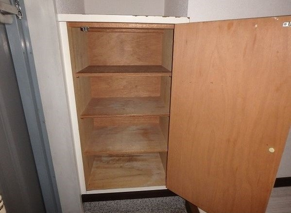 ラフィーネ新宿のその他