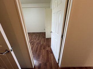  | Ｃｉｅｌ　Ｂｌｅｕ　ＫｕｓｈｉⅠ