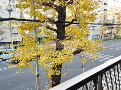 メゾンピーチⅡの展望