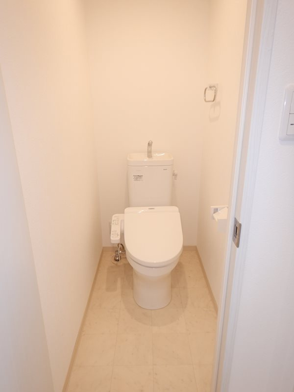 ハウスアイ立花Ⅱのトイレ|落ち着いたトイレです