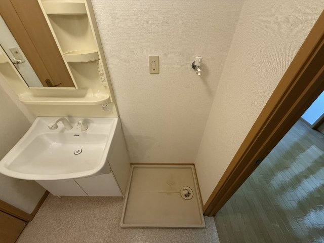 フォレスト六甲A棟の洗面所