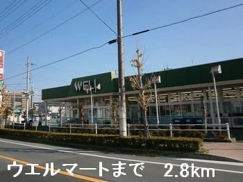 【周辺】 | エクセレント　アベニュー | ウエルマートまで2800m