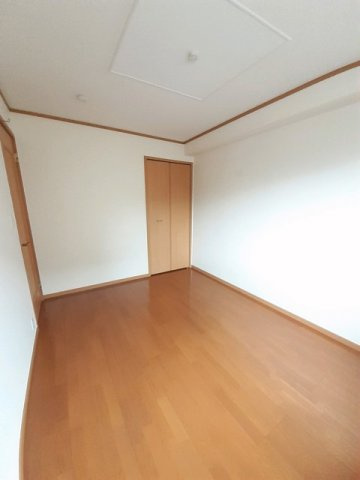 アルカンシェルＣのその他