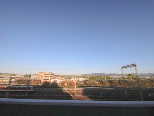 フェニックス明日香の展望