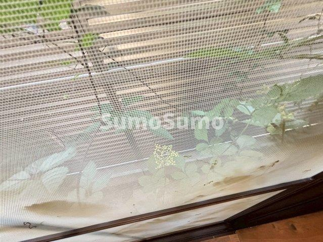 上甲子園１丁目貸家のバルコニー