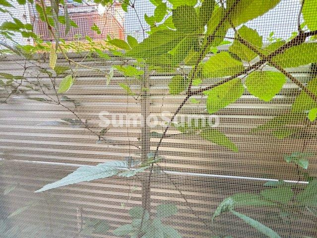 上甲子園１丁目貸家の展望