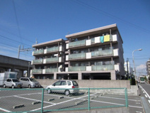 シレスティアル雪本の画像