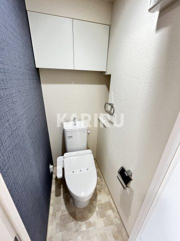 セイワパレス都島駅前のトイレ|同物件別部屋の写真です。