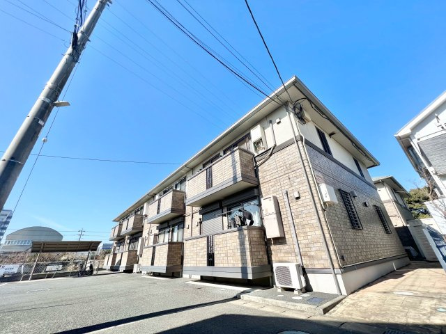 グレイスコート