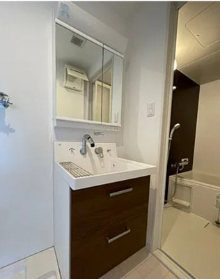 【独立洗面台】 | ラ・フェリシア桜川