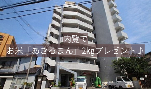 メゾンダイアナイン皆実