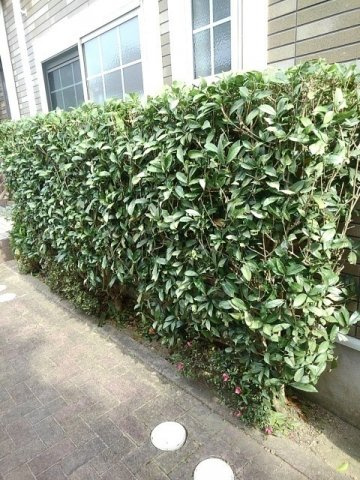 カルムＢ棟のその他