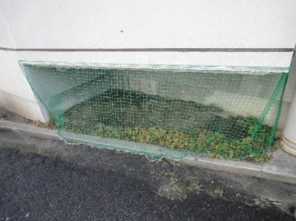 【その他】 | セキヤハイツ | 完成写真