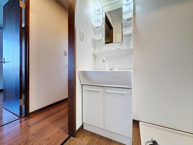 エクセルプラザAの独立洗面台