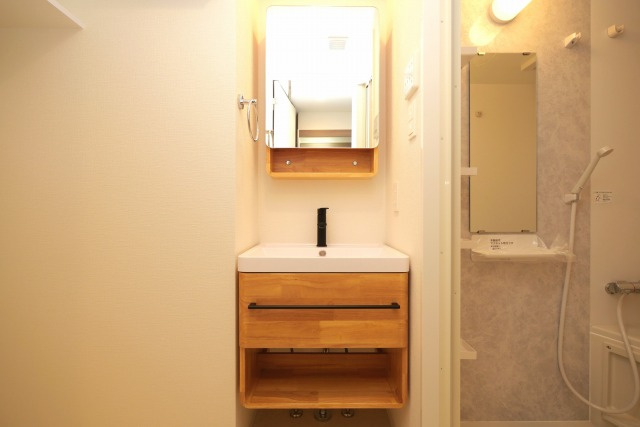 アプリーレ松屋町の独立洗面台