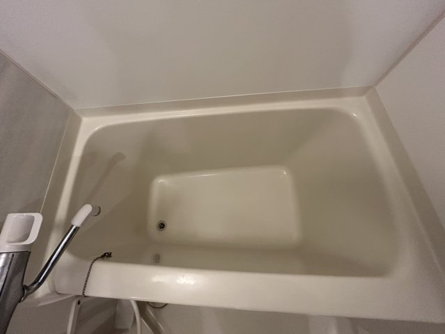 S-RESIDENCE難波Brillerの浴室