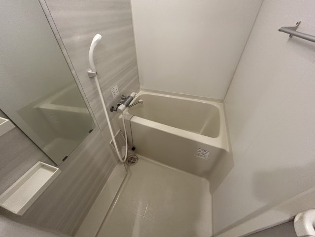 S-RESIDENCE難波Brillerの浴室