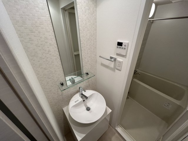 S-RESIDENCE難波Brillerの洗面所