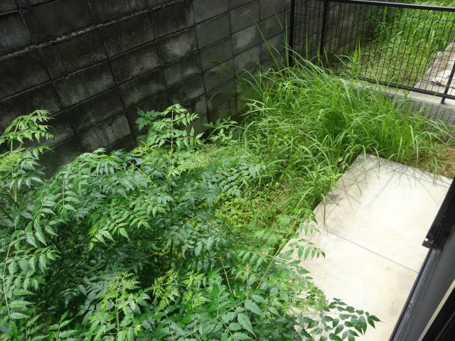 グランピア宝塚の庭