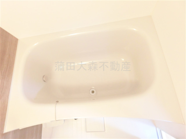 Lares East(ラレースイースト)の浴室