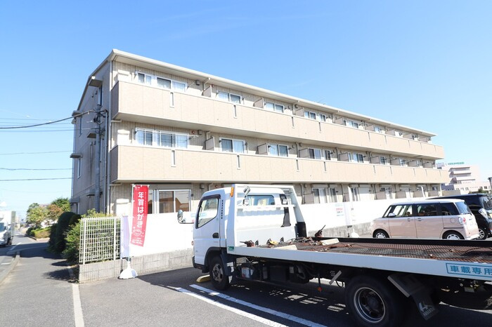 ＦＯＲＥＳＴ ＷＩＮＤ