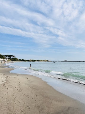 格式高い、葉山町一色アドレスの周辺|葉山公園まで徒歩約20分