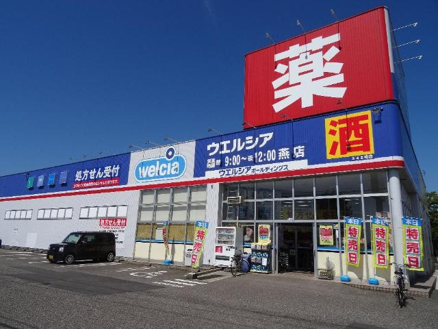 ファミーユ　メゾンの周辺|ウエルシア燕店まで602ｍ