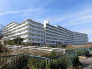 ディオフェルティ枚方の画像