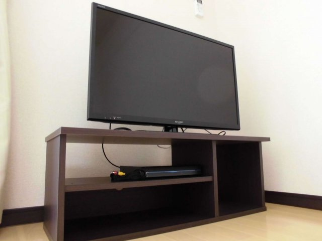 レオネクストヴィオラのその他|同タイプ写真の為、現況優先。