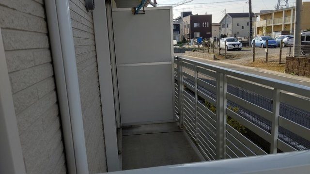 レオネクストヴィオラのその他