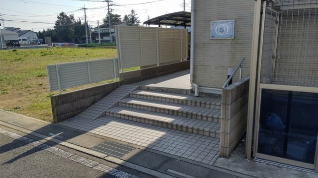 レオネクストヴィオラのその他