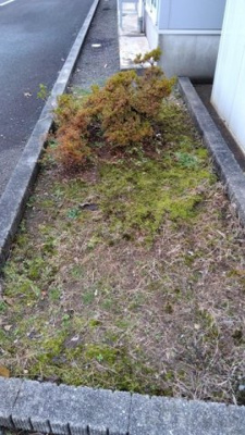 【その他】 | レオパレスＮ＆Ｍ