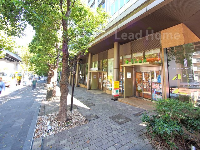 【その他】 | ＴＨＥ　ＲＯＰＰＯＮＧＩ　ＴＯＫＹＯ | 前面道路