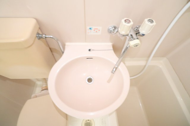 パレス桂の洗面所