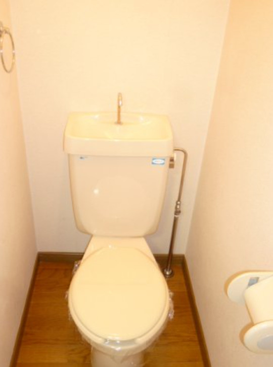 江崎ガーデンビルのトイレ