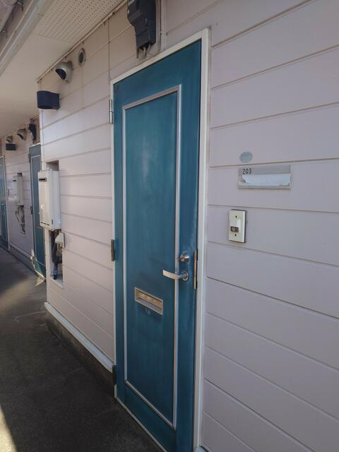 ハイムマンドリンのその他