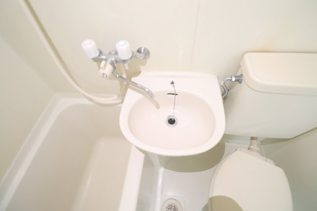 ハイムマンドリンの洗面所