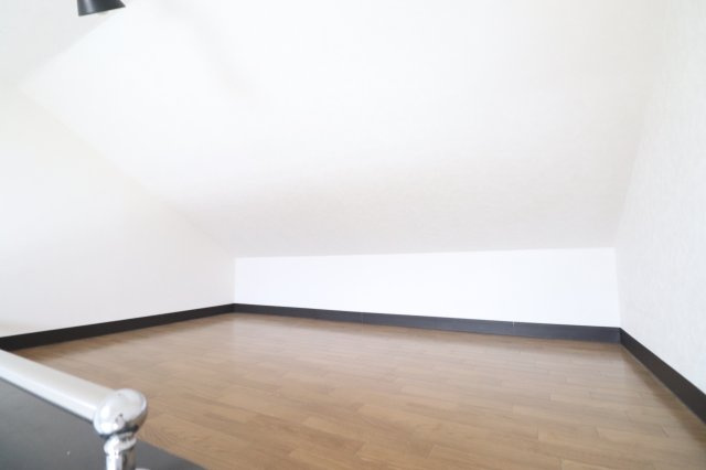 ハイムマンドリンの内装