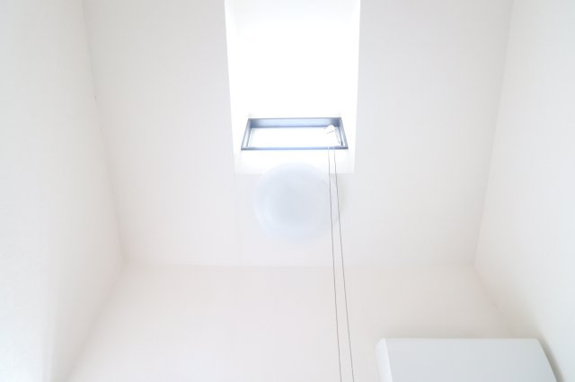 ハイムマンドリンのその他