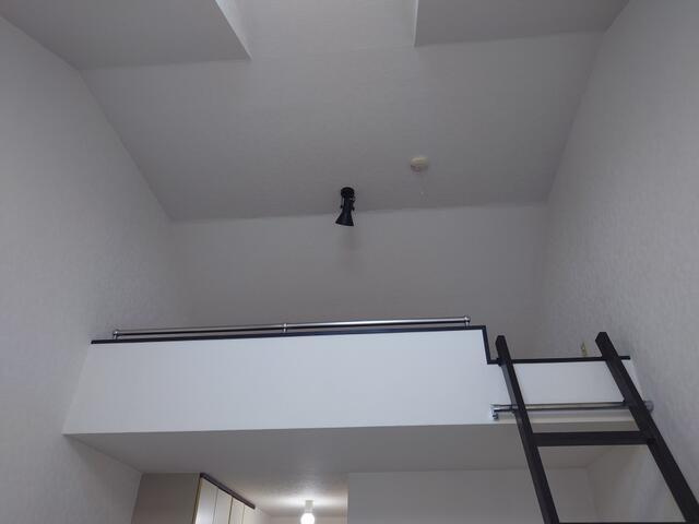 ハイムマンドリンのその他